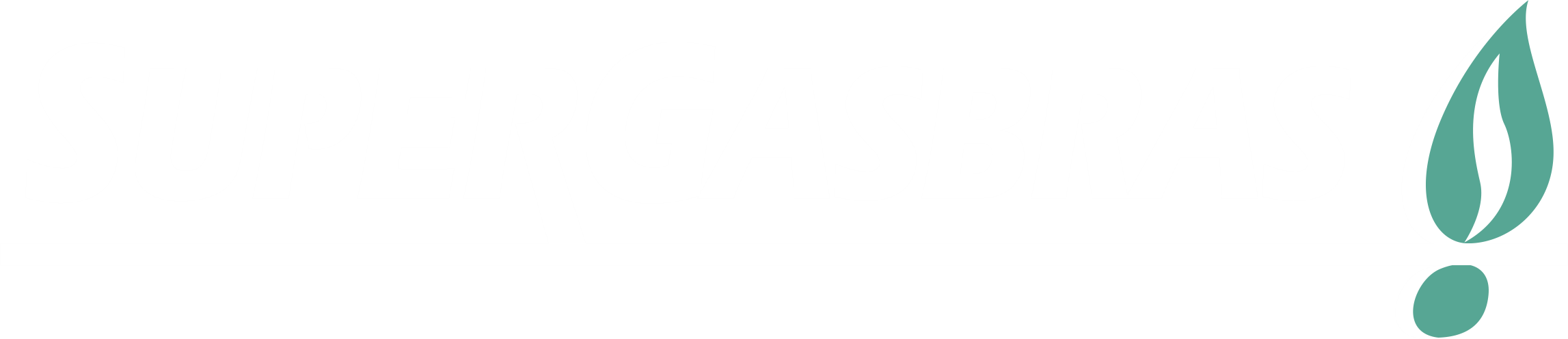 supergasbras logo